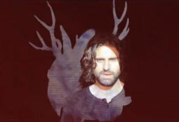 Miike Snow – “Animal”