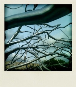 Roxy Paine at the Met