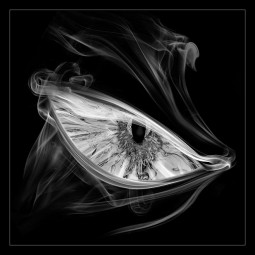 Mehmet Ozgur’s Mesmerizing Smoke Photography