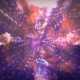 Music Video: Midnight Juggernauts – “This New Technology”