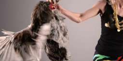 Music Video: Thunderheist – “Jerk It”
